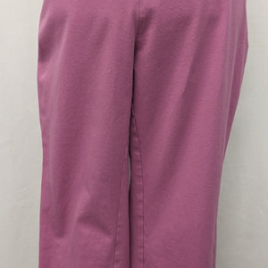 A New Day size 10 pink pull on capri