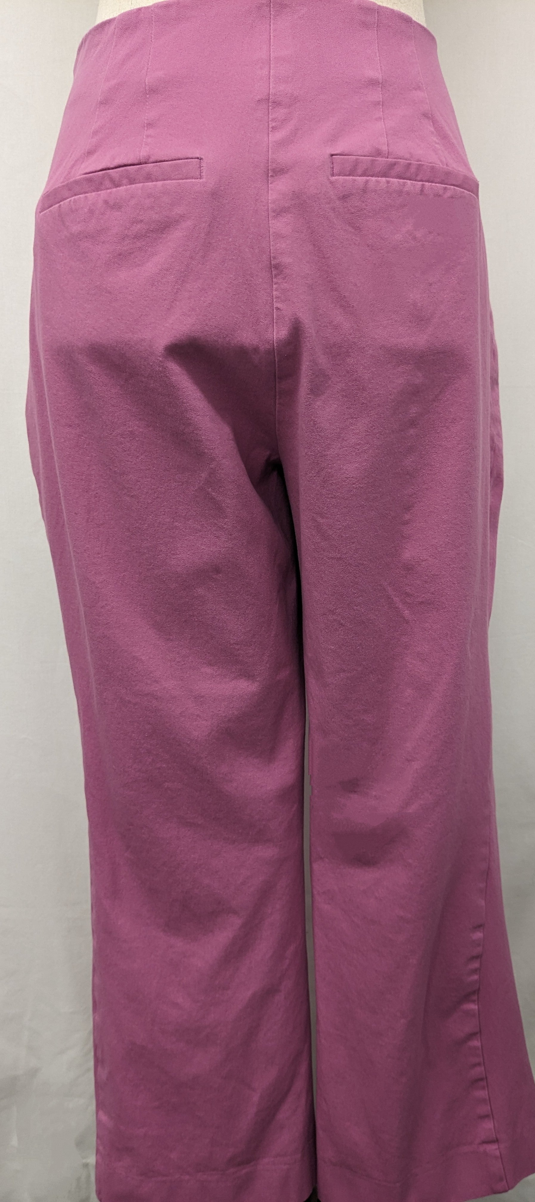 A New Day size 10 pink pull on capri