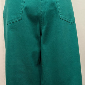 Style&Co size 20 green denim capri