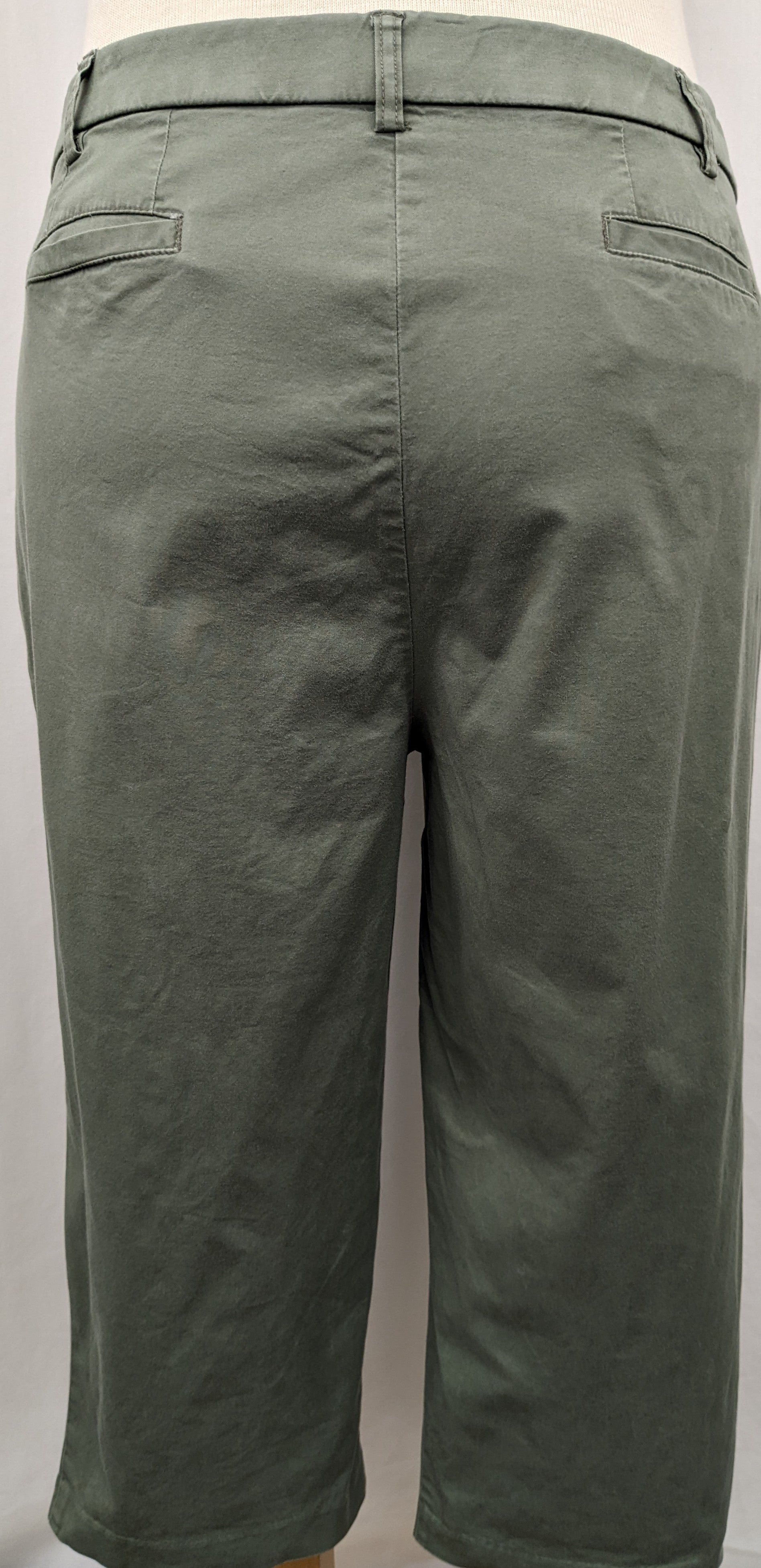 Dressbarn size 20 green capri