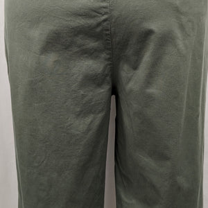 Dressbarn size 20 green capri