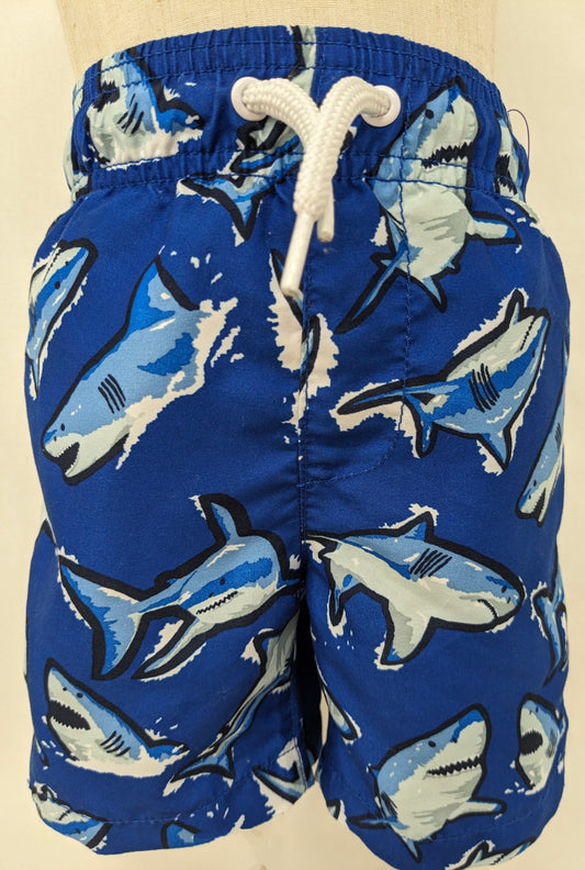 Place Sport 2T blue shark swim trunks